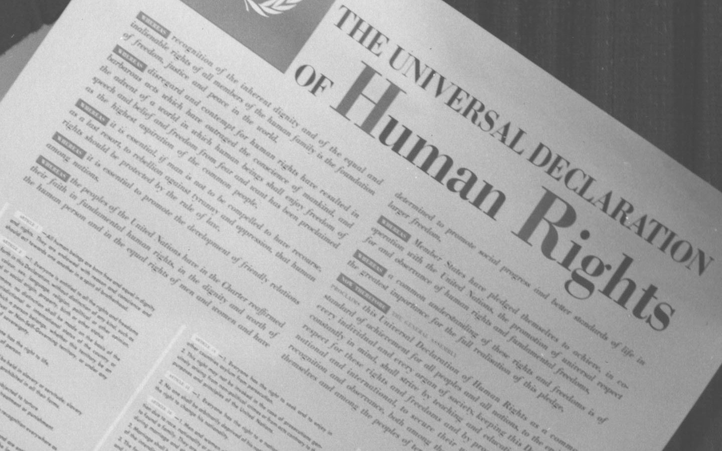 Universal Declaration Of Human Rights Diplomatic Academy   Universal Declaration Of Human Rights Udhr Background 